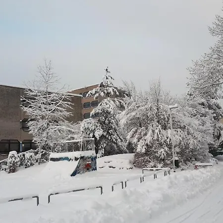 جوجيندهيربيرغ - شباب يوث